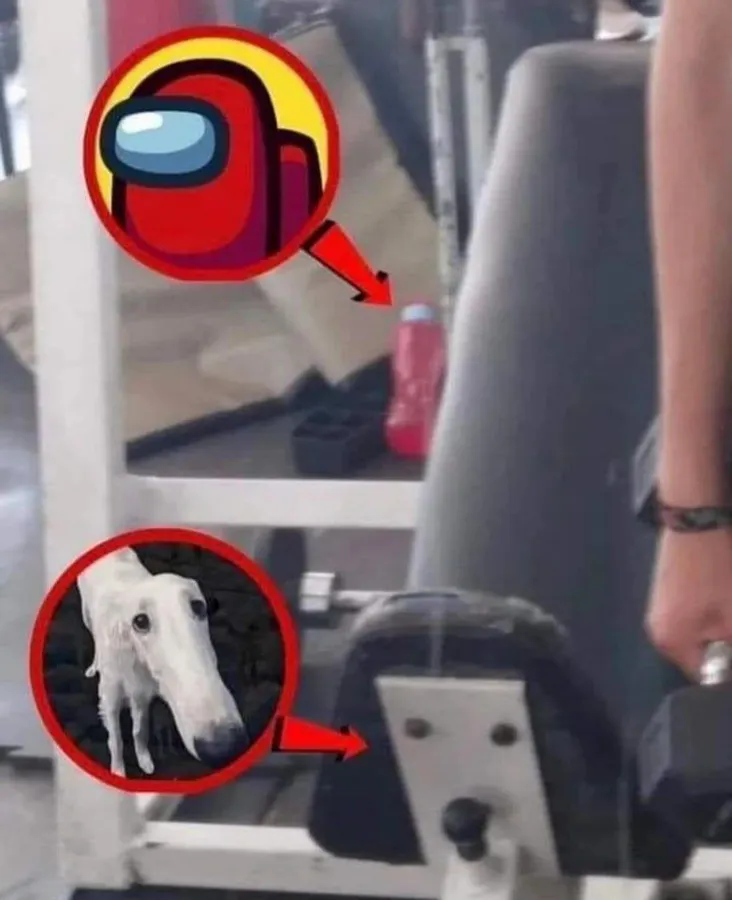 Untitled meme