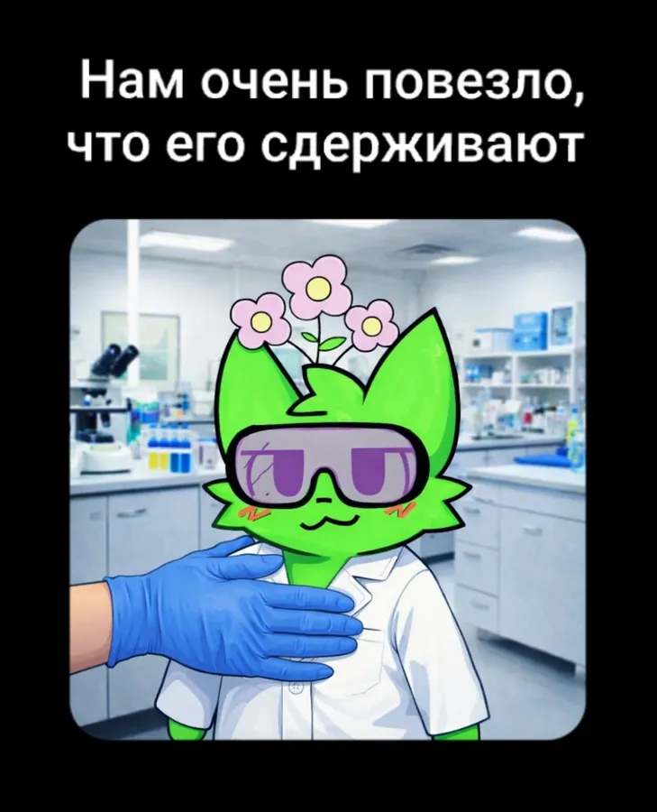 Untitled meme