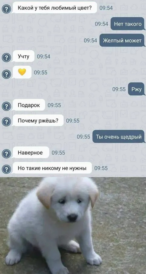 Untitled meme
