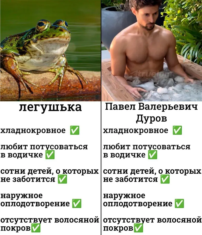 Untitled meme
