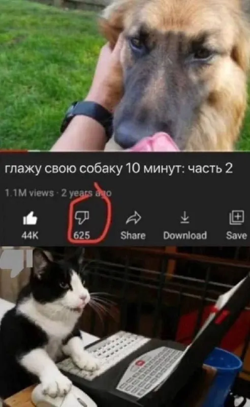 Untitled meme