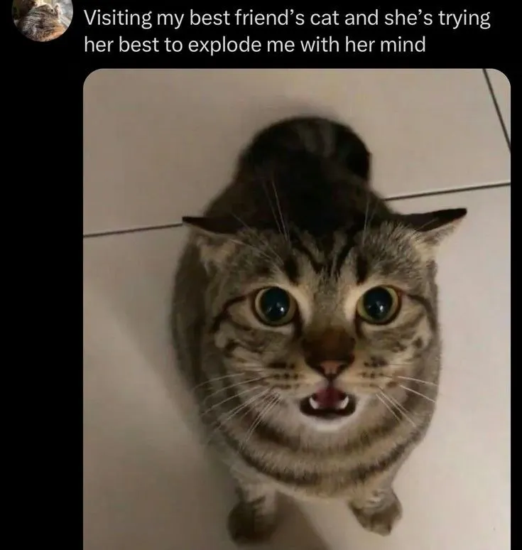 Untitled meme