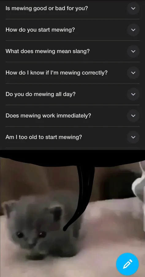 Untitled meme