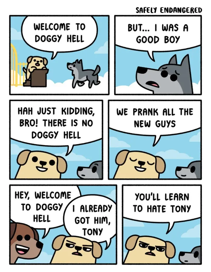 Untitled meme