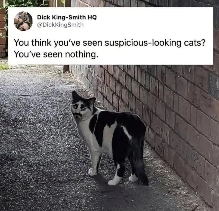 Untitled meme