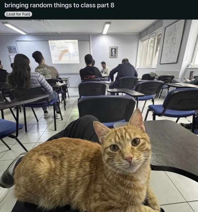 Untitled meme
