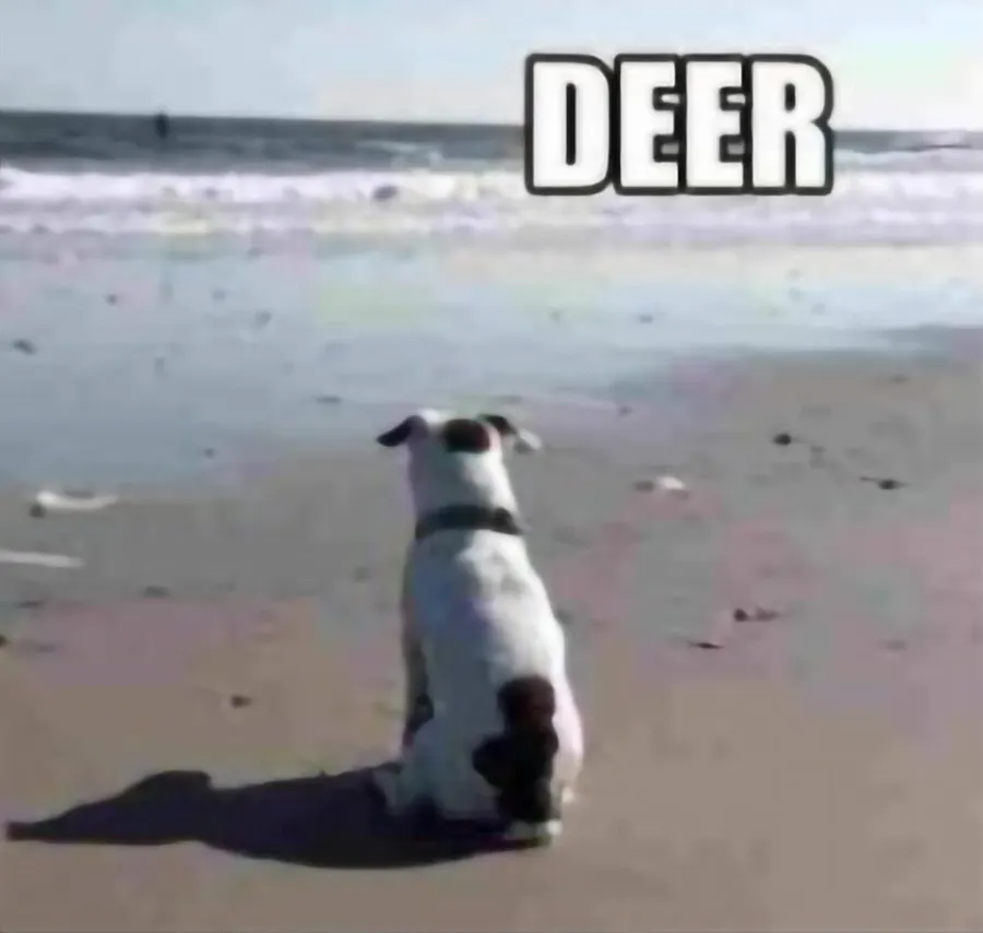 Untitled meme