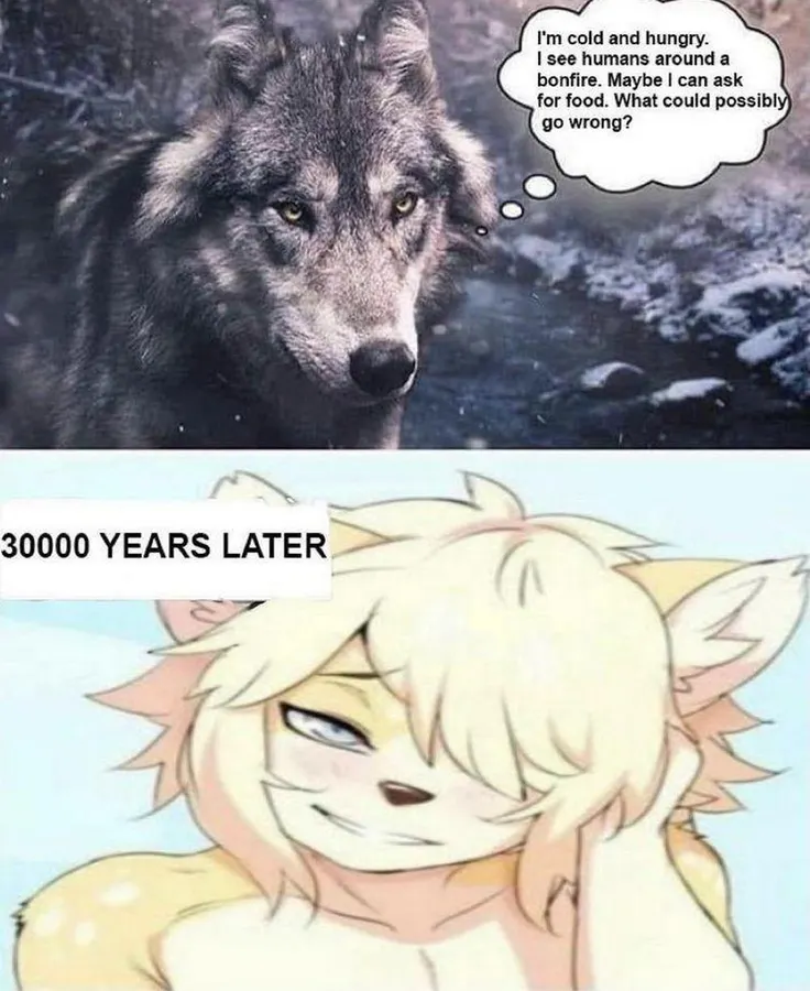 Untitled meme