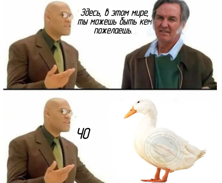 Untitled meme