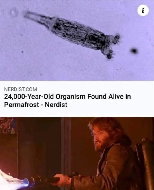 Untitled meme