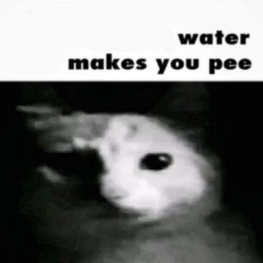 Untitled meme