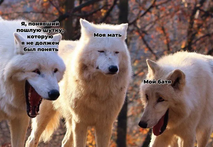 Untitled meme