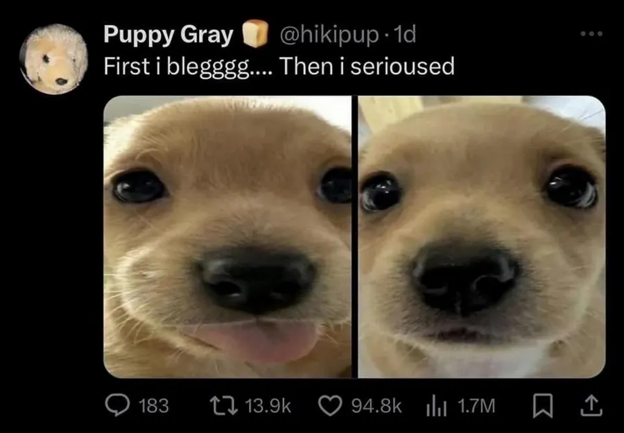 Untitled meme