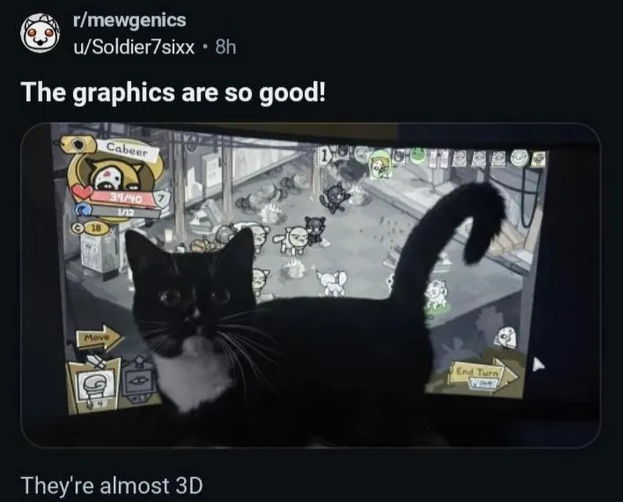 Untitled meme
