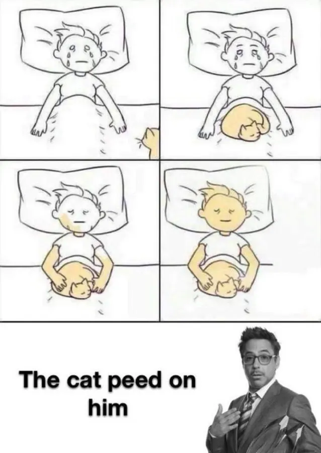 Untitled meme