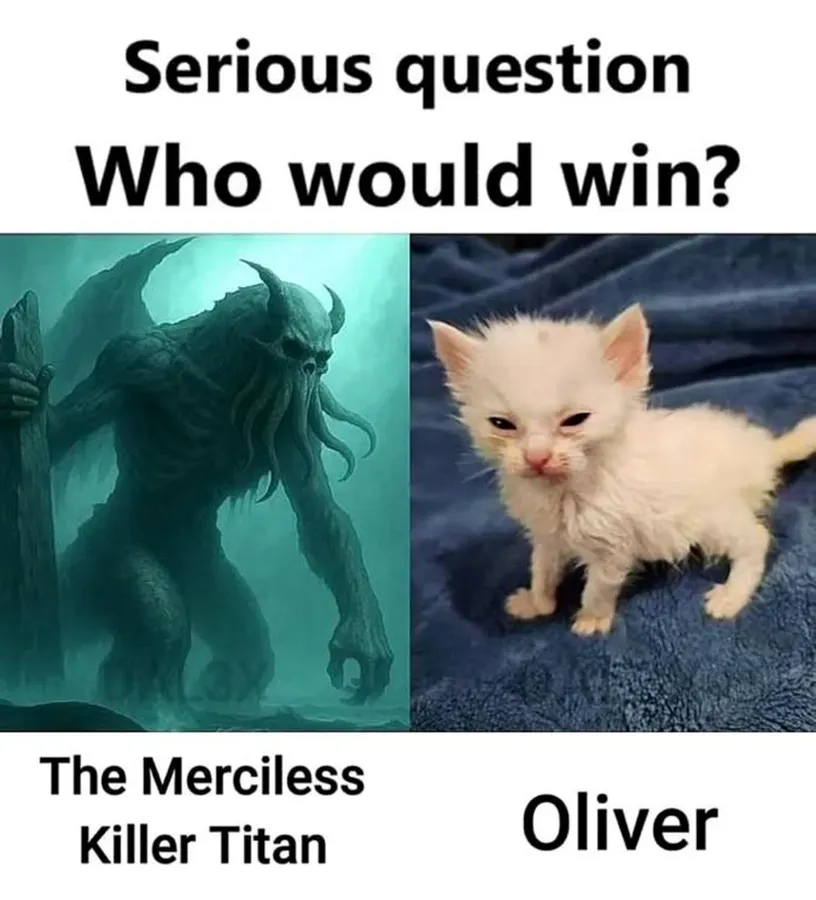 Untitled meme
