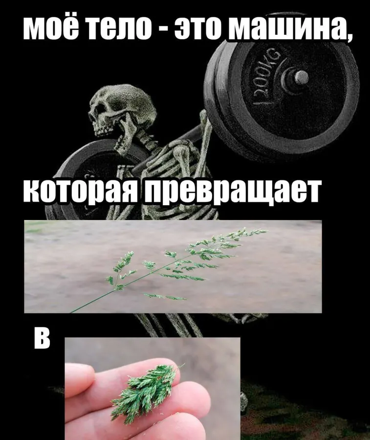 Untitled meme