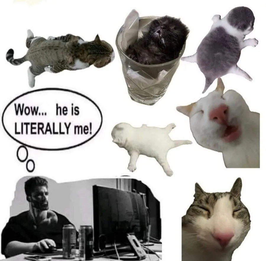 Untitled meme