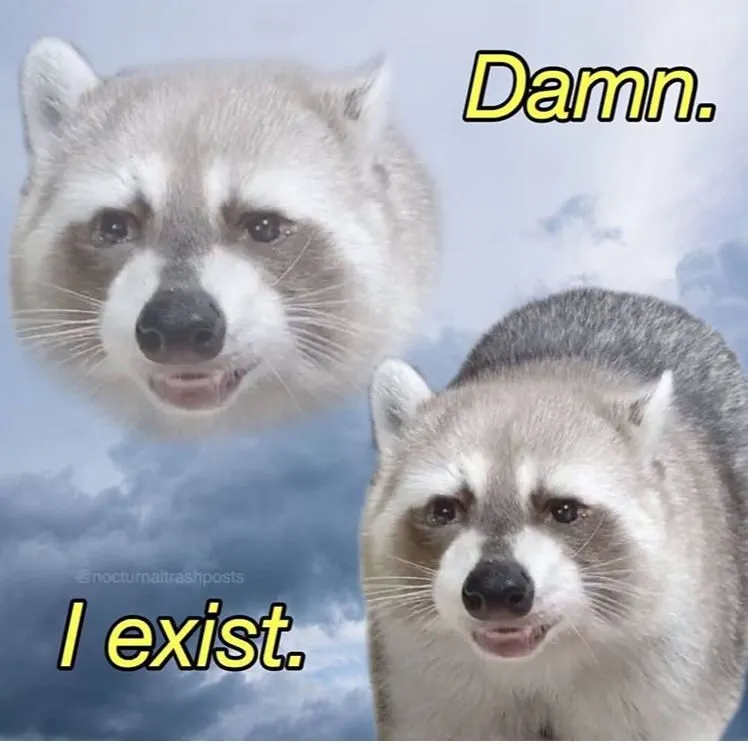 Untitled meme