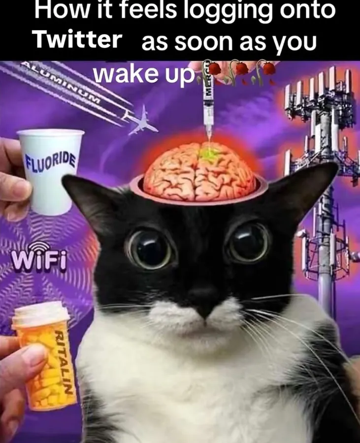 Untitled meme