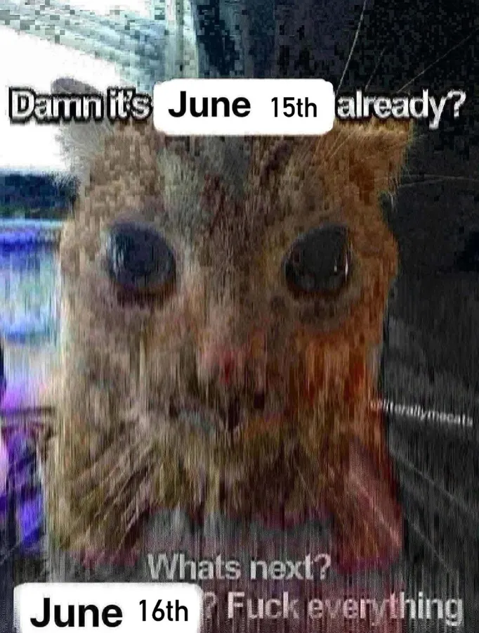 Untitled meme