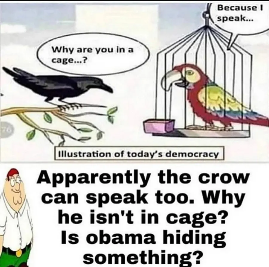 Untitled meme