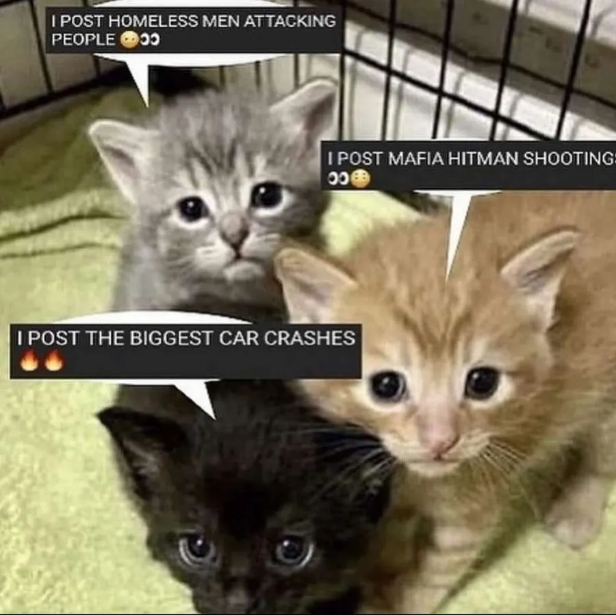 Untitled meme