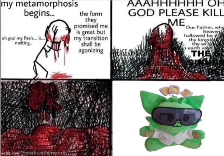 Untitled meme