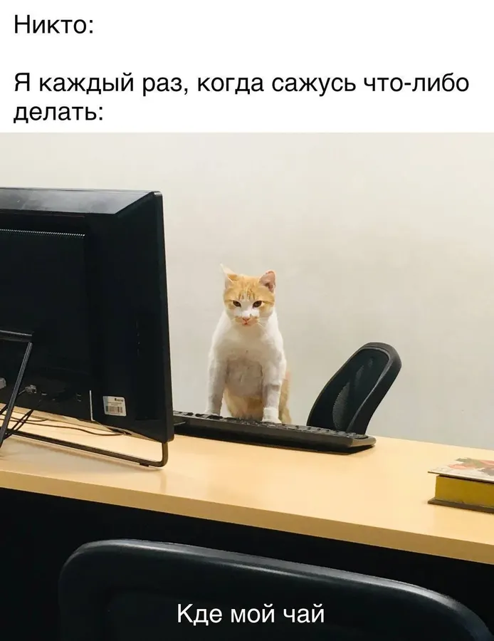 Untitled meme