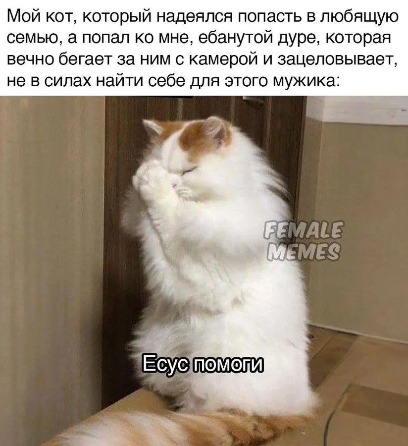 Untitled meme