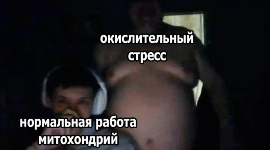 Untitled meme