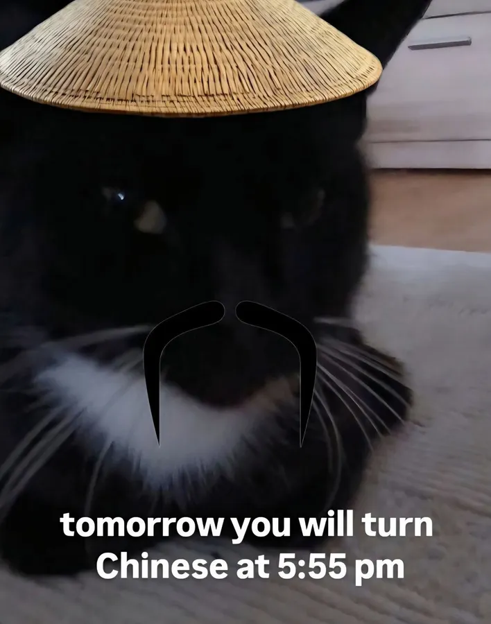 Untitled meme