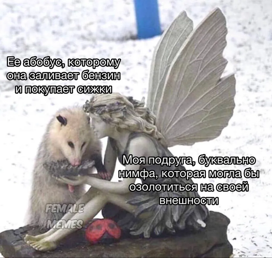 Untitled meme