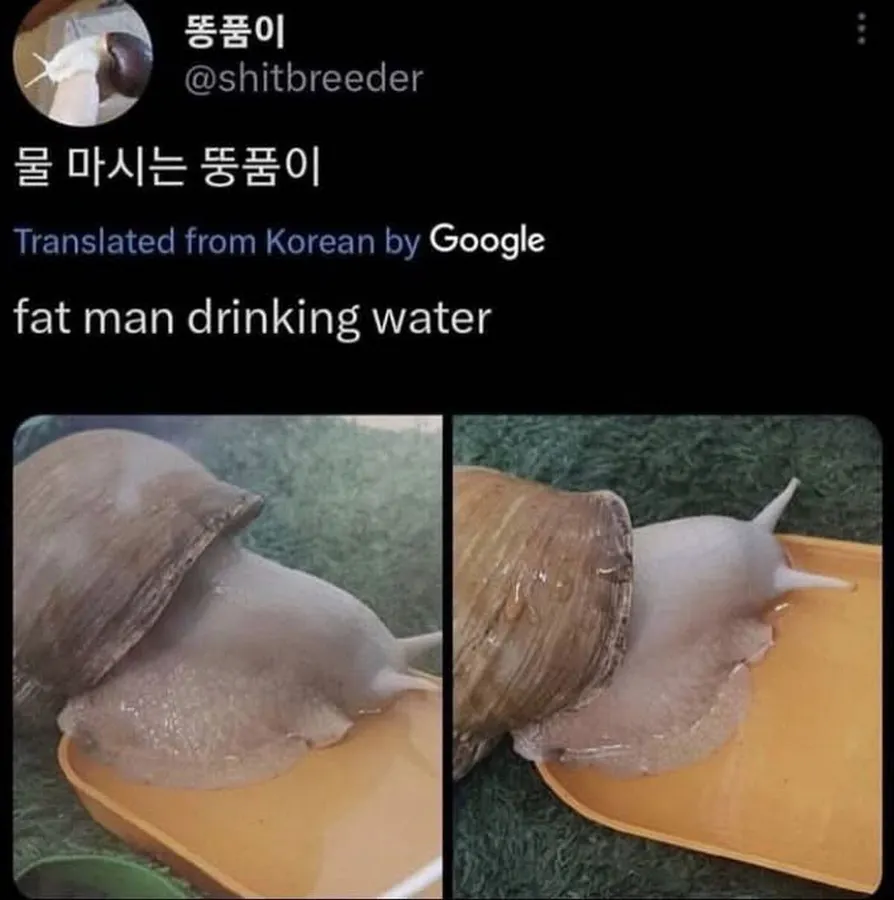 Untitled meme