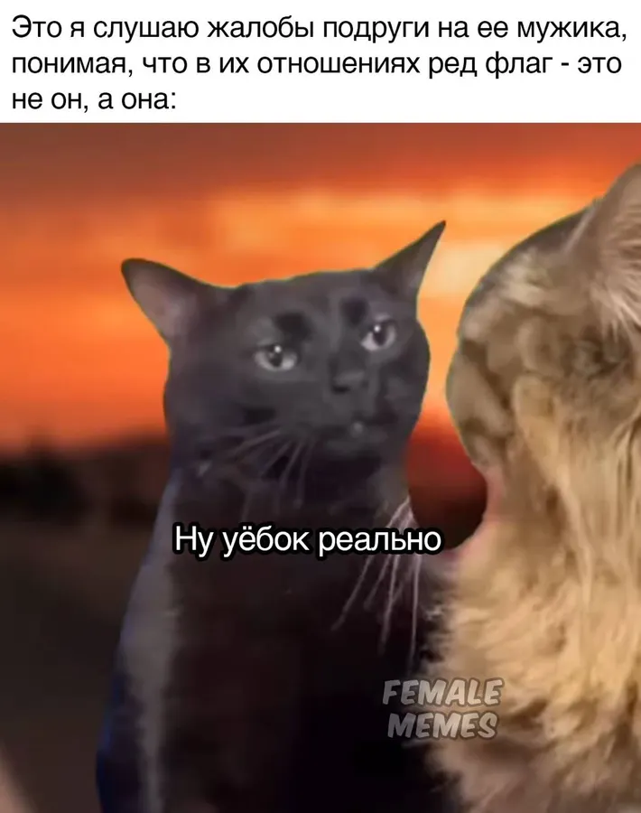 Untitled meme