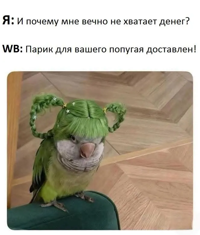 Untitled meme