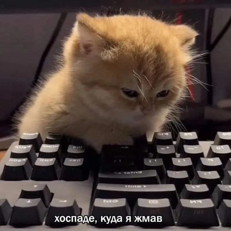 Untitled meme