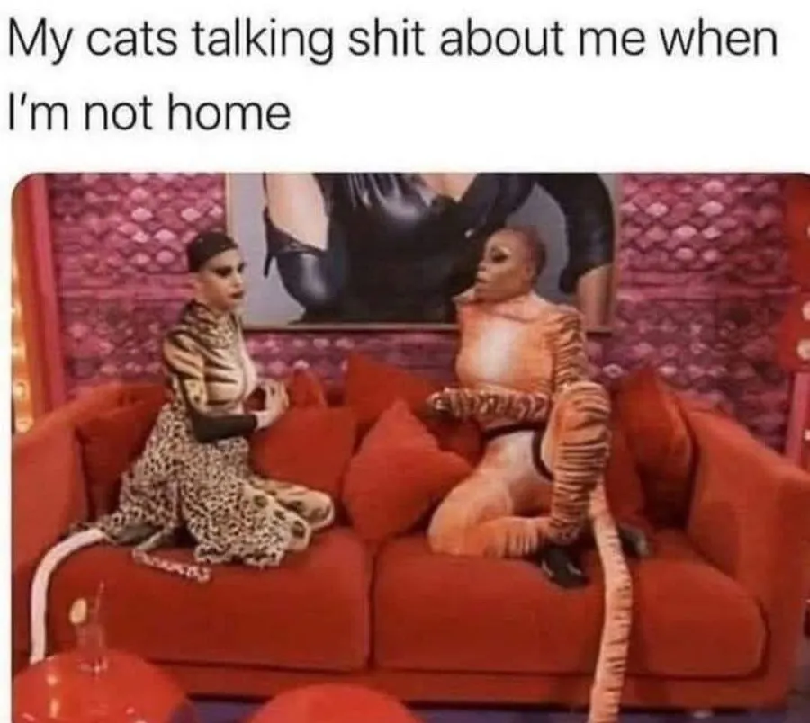 Untitled meme