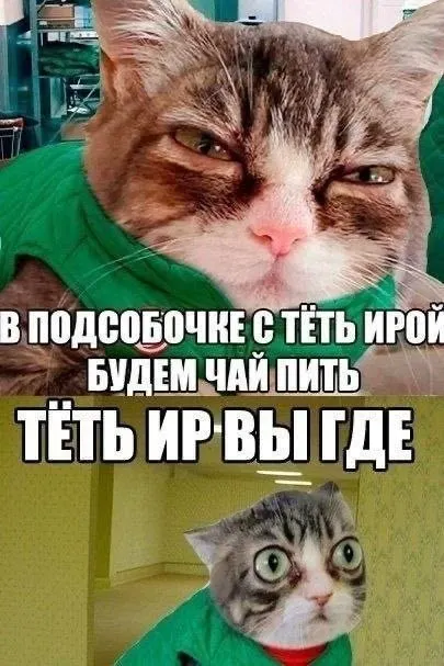 Untitled meme