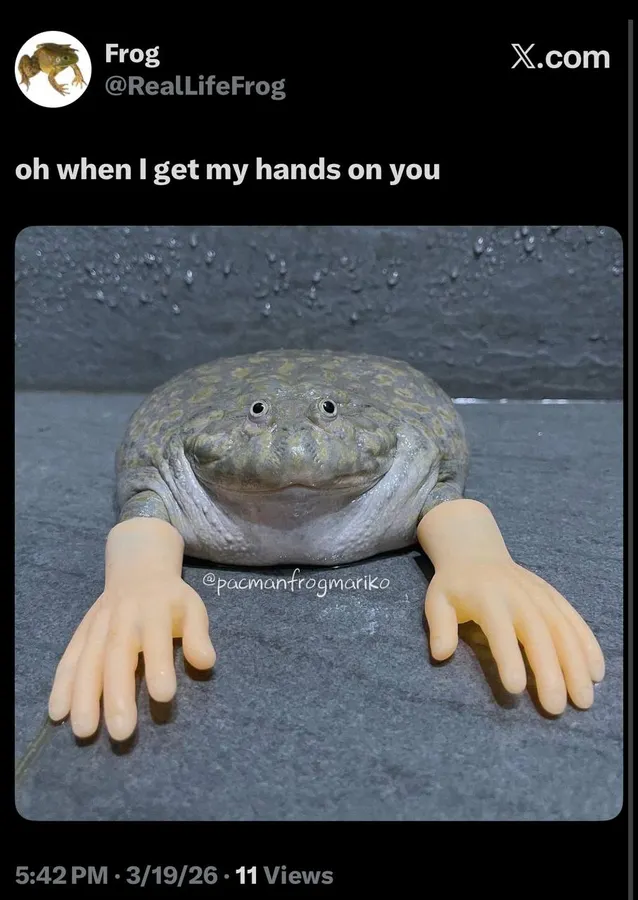 Untitled meme