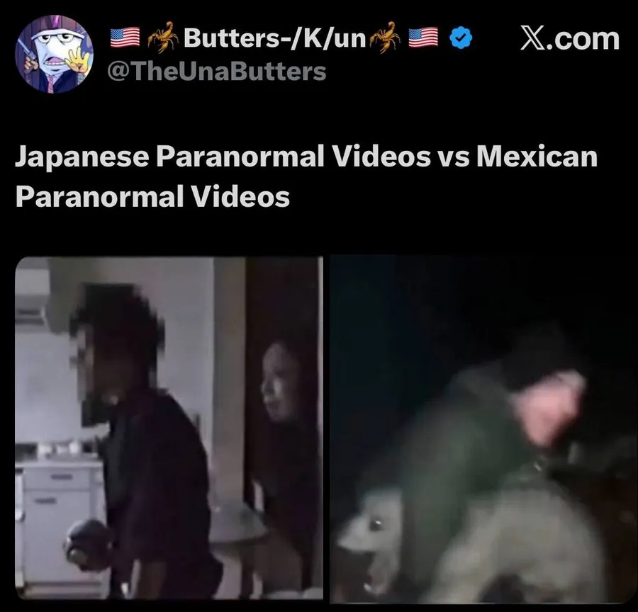 Untitled meme