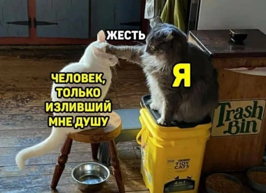 Untitled meme
