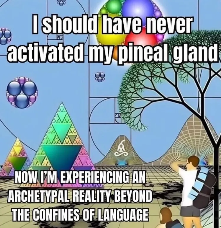 Untitled meme