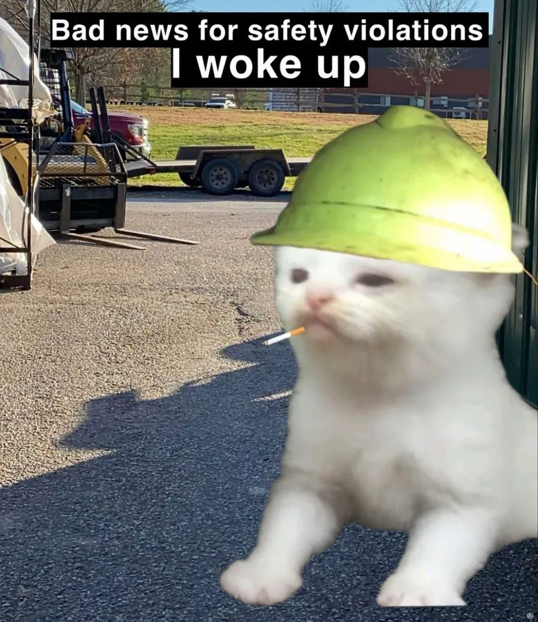 Untitled meme