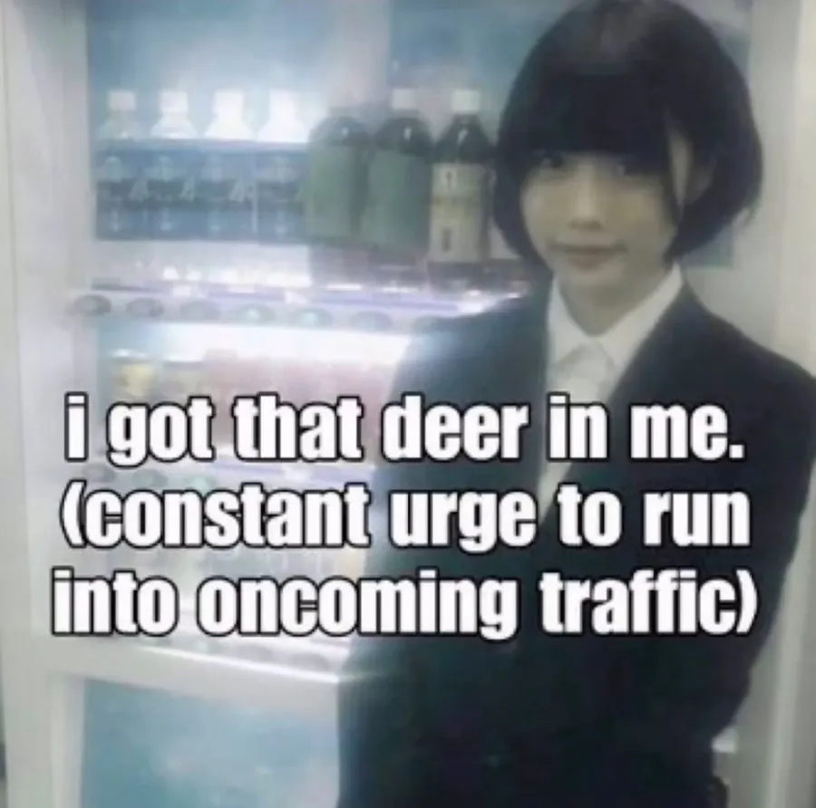 Untitled meme