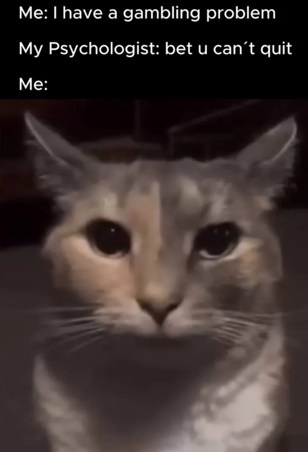 Untitled meme