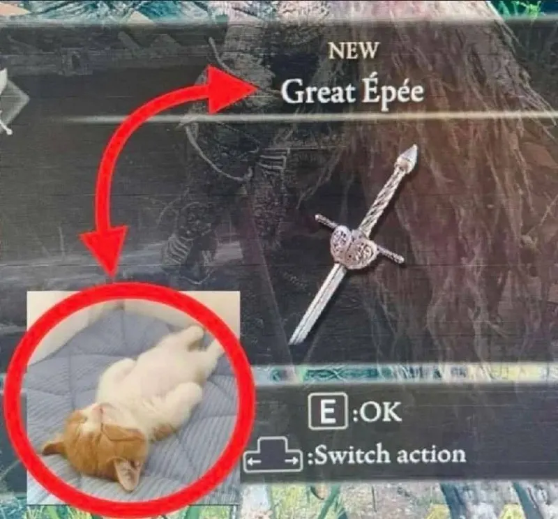 Untitled meme