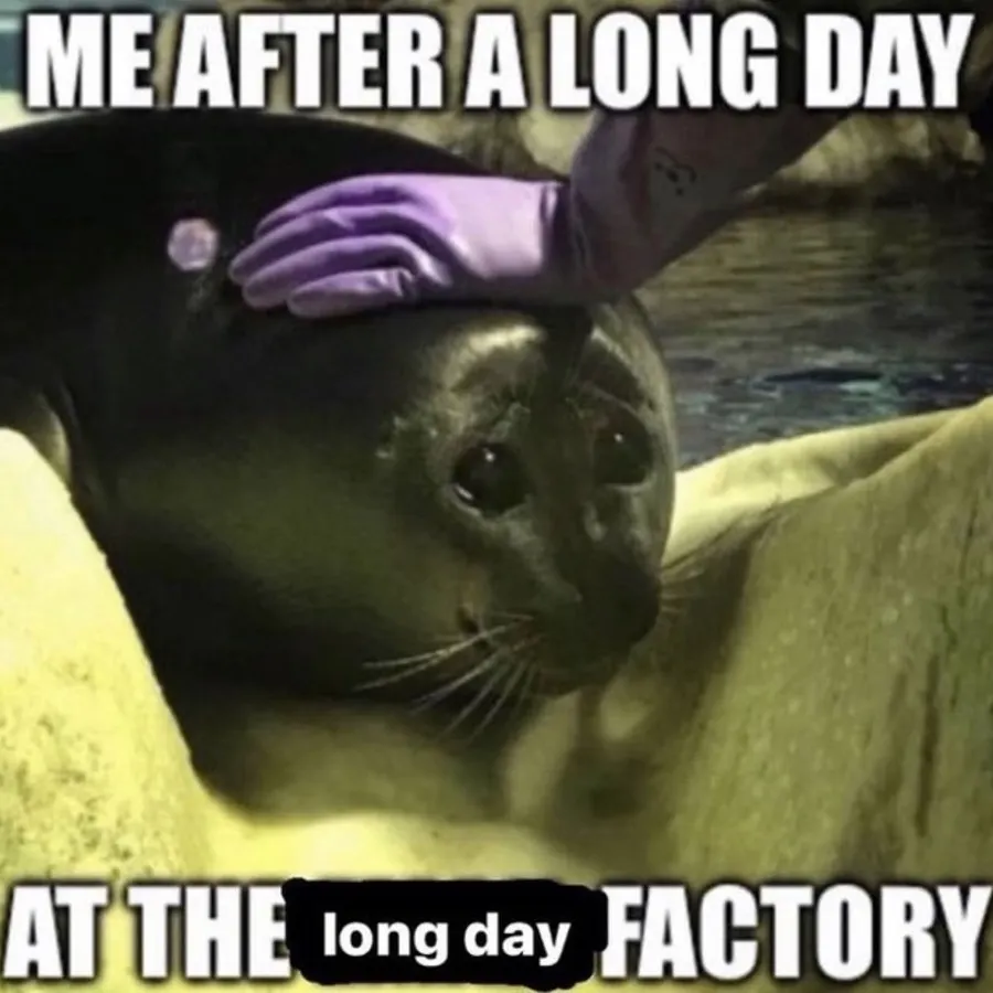 Untitled meme