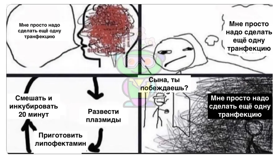 Untitled meme