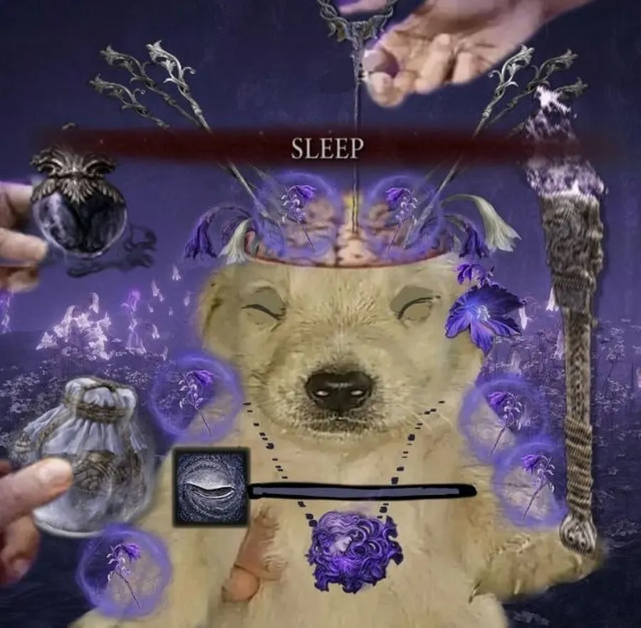 Untitled meme